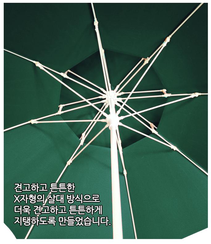 /user/w/woodland/editor/2202/d11fae9552ce0fc6abaf3bdab3d0ecf6_1644551955_479.JPG 이미지크게보기