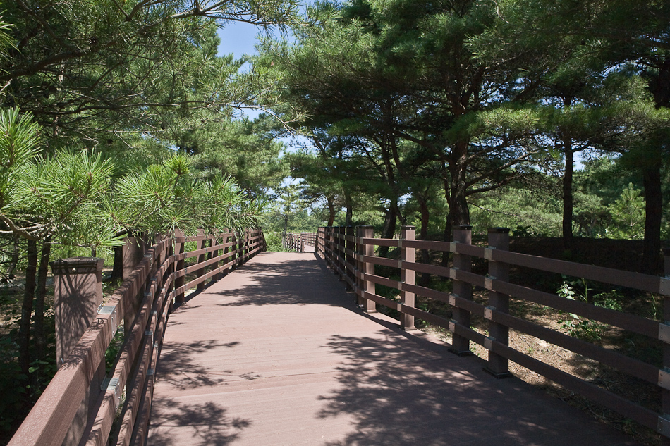 /user/w/woodland/editor/2303/c10758b60c6cb5df709fb6e042d48968_1678156223_0472.jpg 이미지크게보기